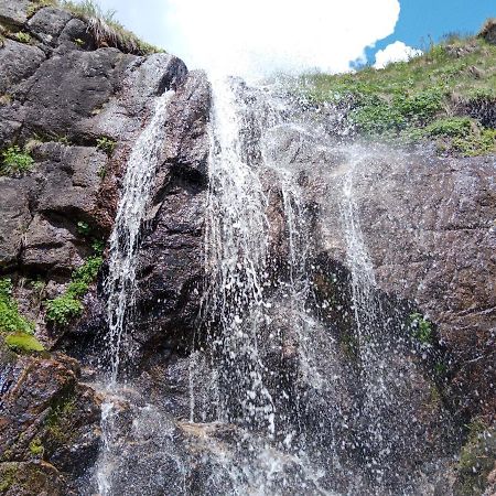 Avusor Mola Cafe Ve Pansiyon Çamlıhemşin Bagian luar foto